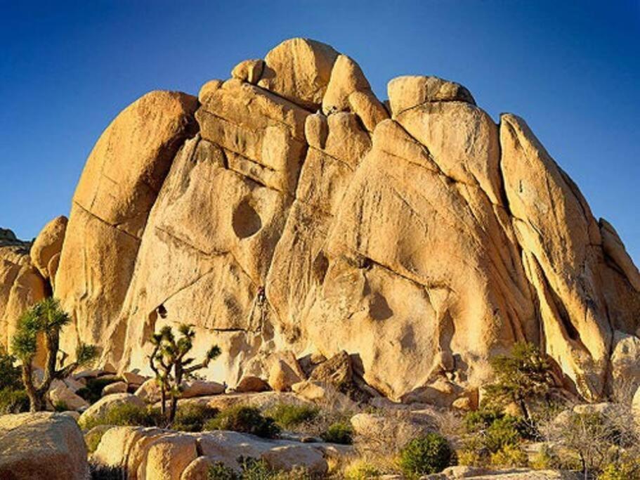 Cozy Stylish Home In The Heart Of Jt Village Joshua Tree Εξωτερικό φωτογραφία